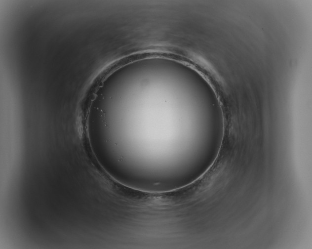 X0000101711360200807171527