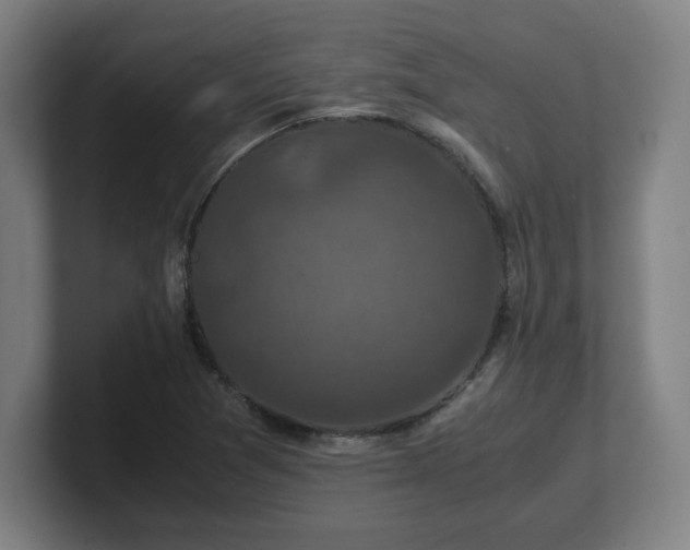 X0000101711361200807171527