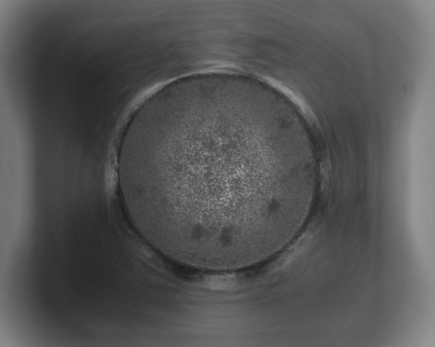 X0000101711363200807171527