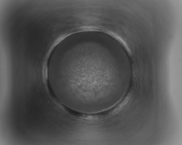 X0000101711365200807171527