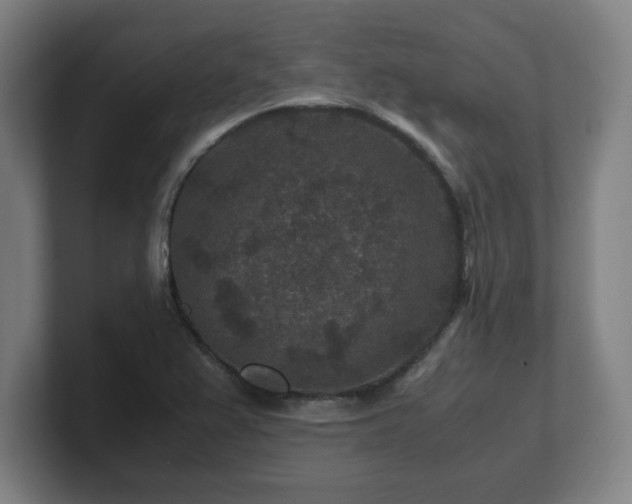 X0000101711367200807171527