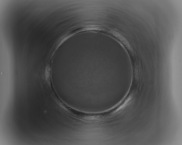 X0000101711369200807171527