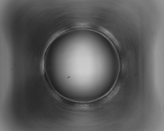 X0000101711370200807171527