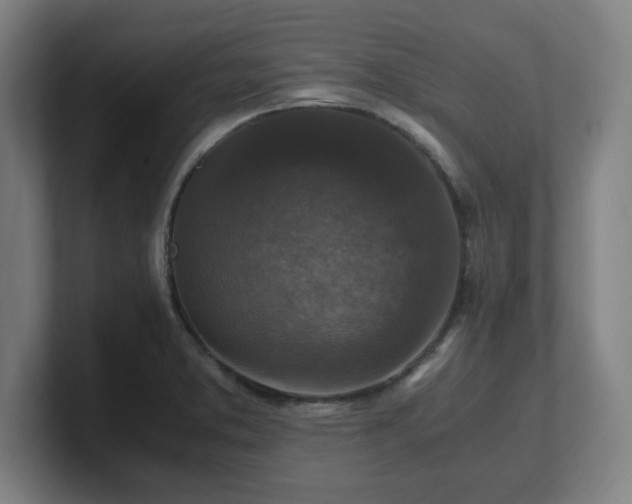 X0000101711373200807171527