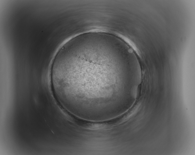X0000101711375200807171527