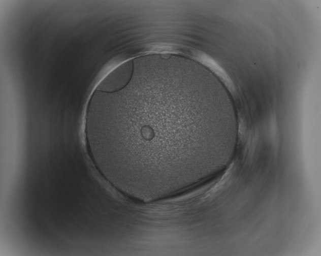 X0000101711378200807171527