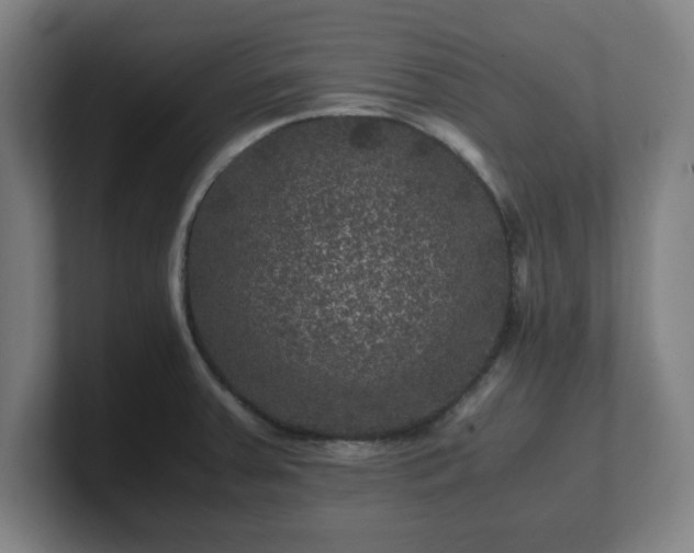 X0000101711379200807171527