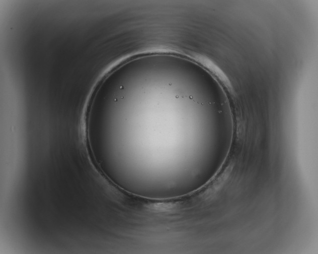 X0000101711380200807171527
