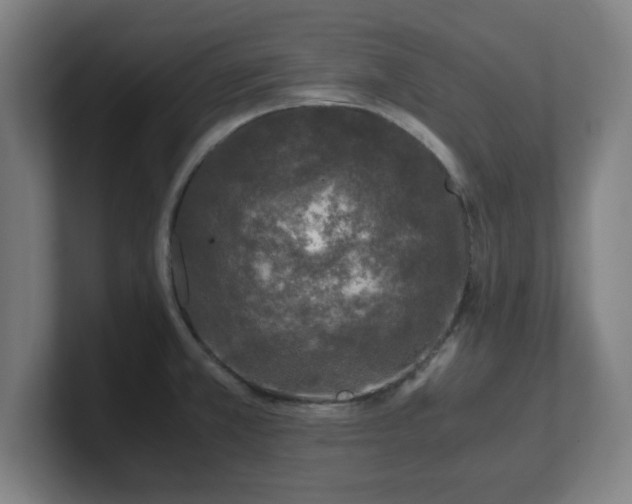 X0000101711381200807171527