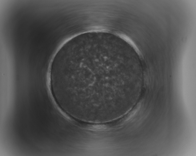 X0000101711383200807171527