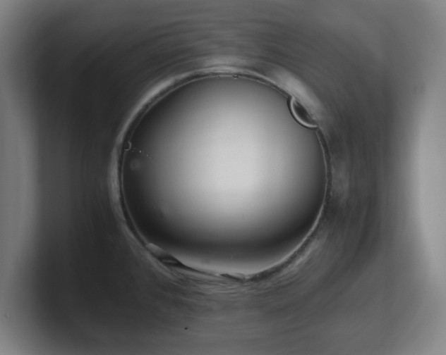 X0000101711384200807171527