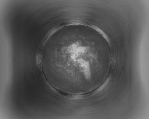X0000101711385200807171527
