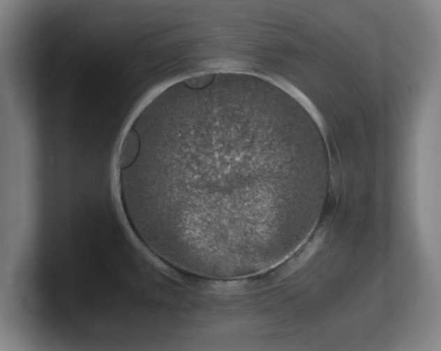 X0000101711389200807171527