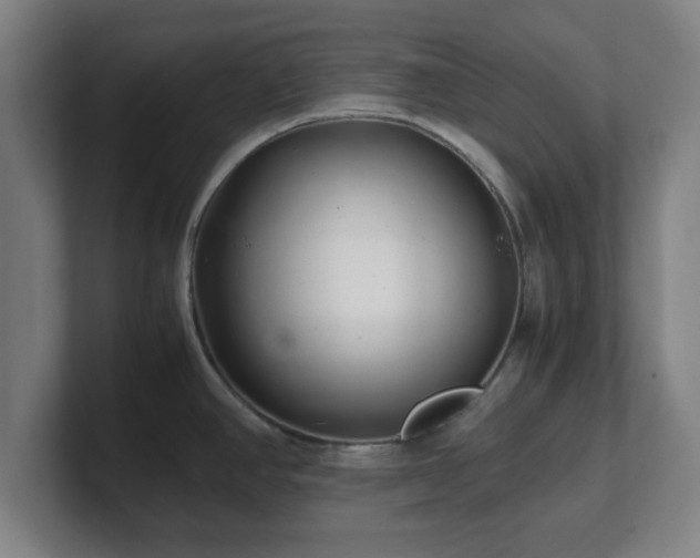 X0000101711390200807171527