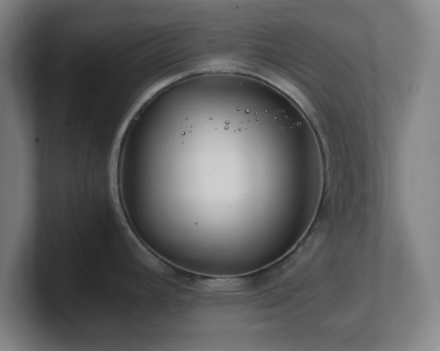 X0000101711392200807171527