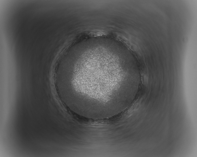X0000101711393200807171526