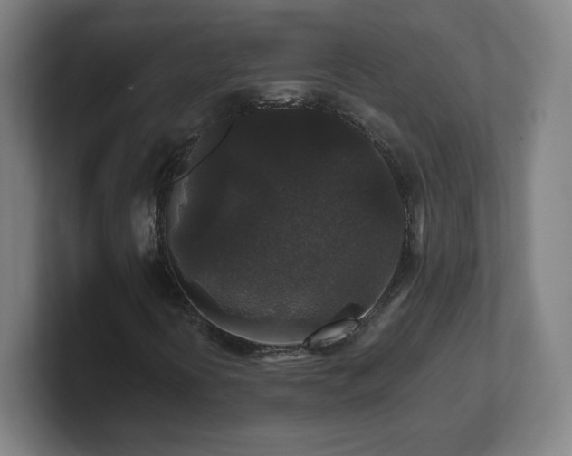 X0000101711394200807171526