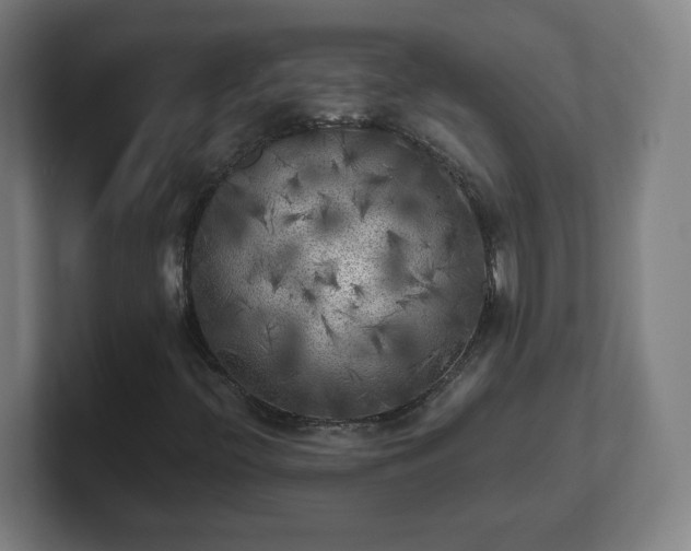 X0000101711396200807171526