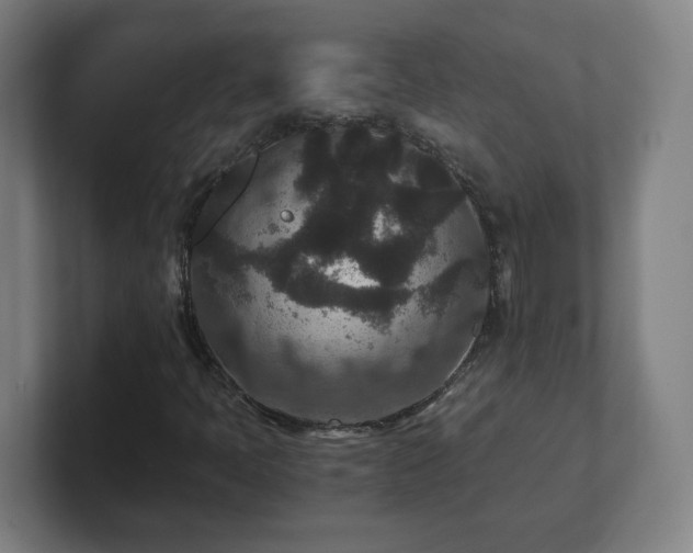 X0000101711397200807171526