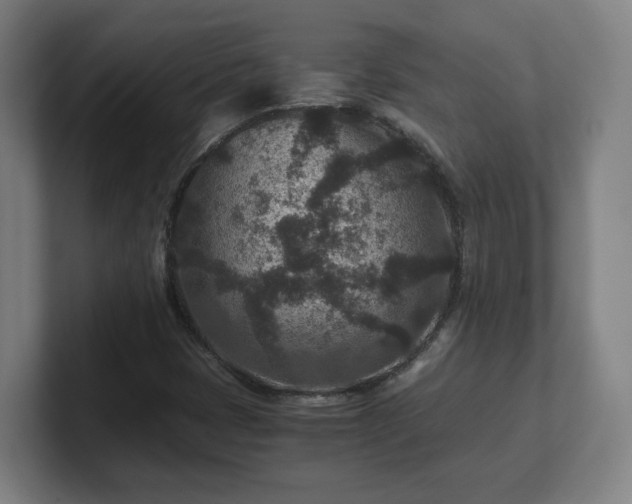 X0000101711401200807171526