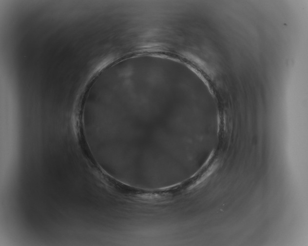 X0000101711405200807171526