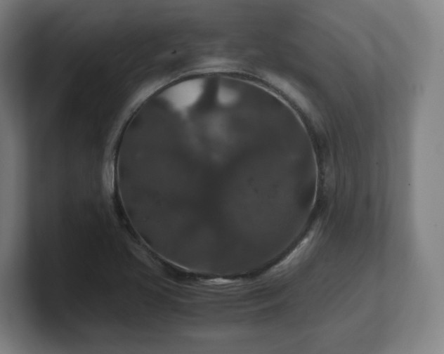 X0000101711413200807171526
