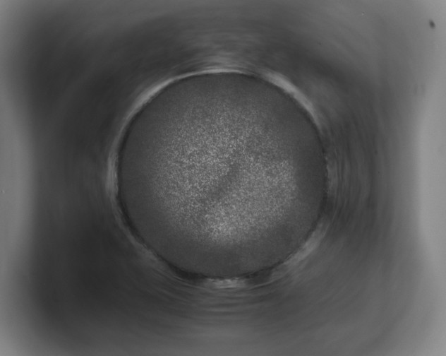 X0000101711415200807171526