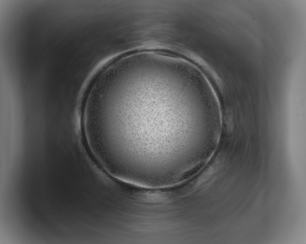 X0000101711416200807171526
