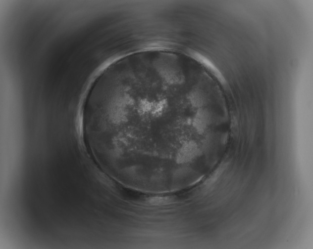X0000101711419200807171526