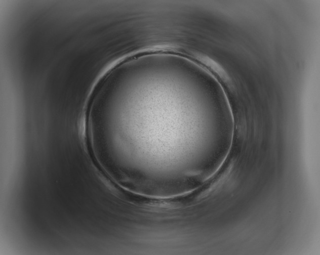 X0000101711420200807171526