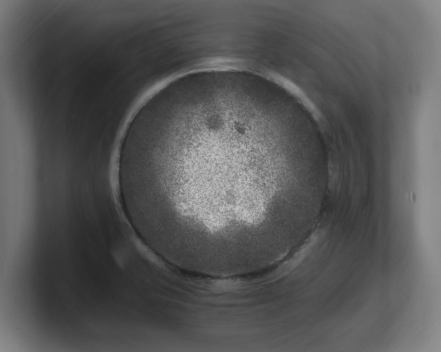 X0000101711421200807171526
