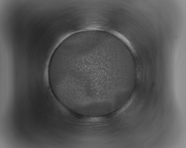 X0000101711423200807171526