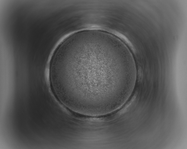 X0000101711424200807171526