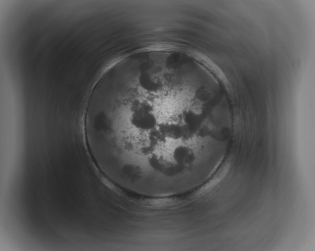 X0000101711425200807171526