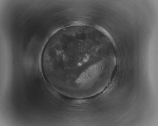 X0000101711427200807171526