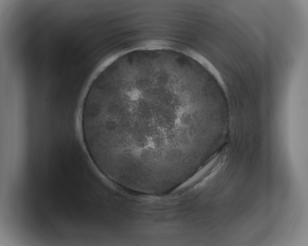 X0000101711429200807171526