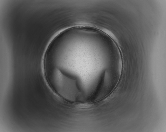 X0000101711440200807171527