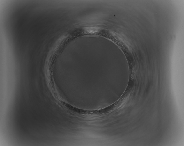 X0000101711441200807171526