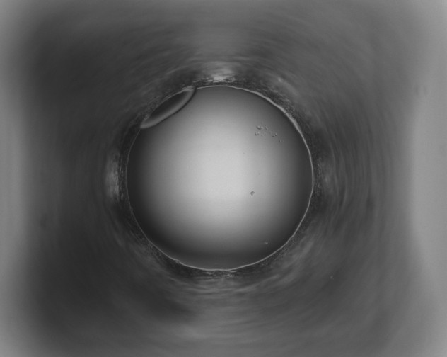 X0000101711442200807171526