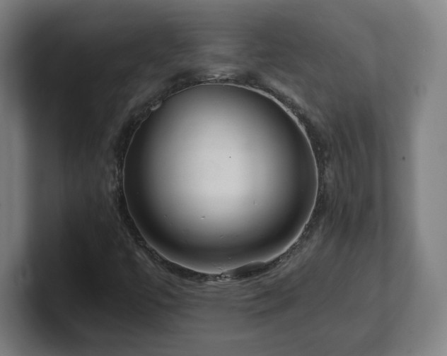 X0000101711447200807171526