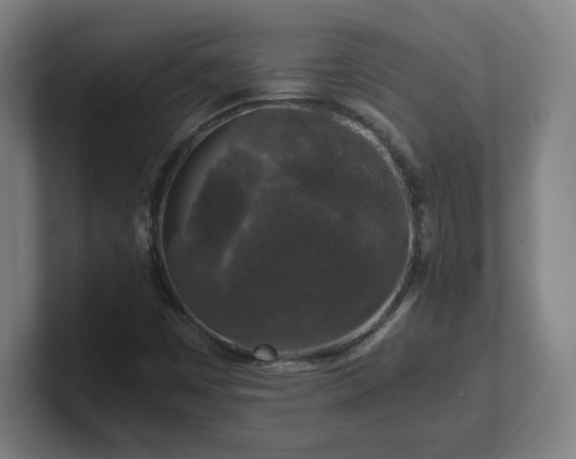 X0000101711449200807171526