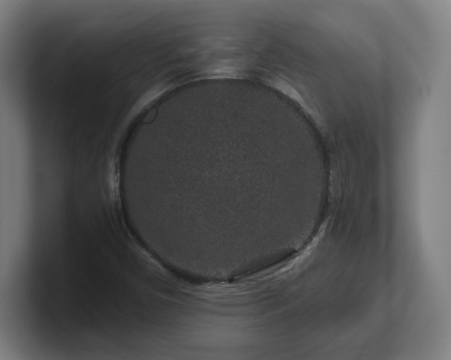 X0000101711450200807171526