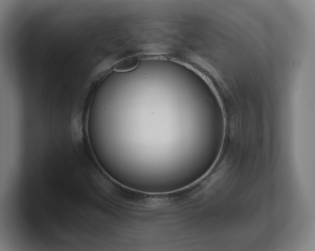 X0000101711451200807171526
