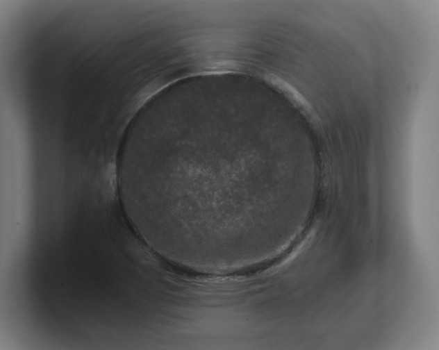 X0000101711457200807171526
