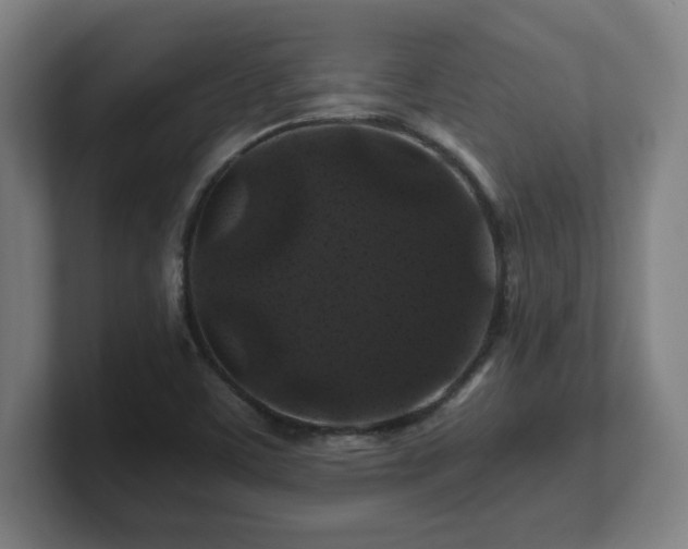 X0000101711459200807171526