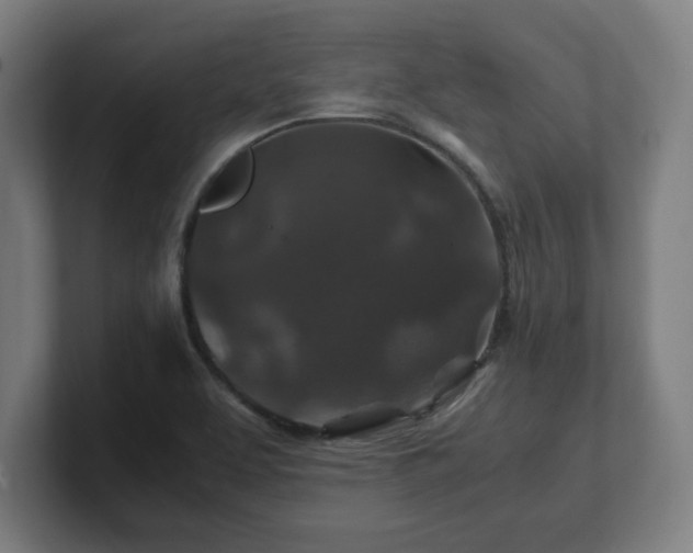 X0000101711463200807171525