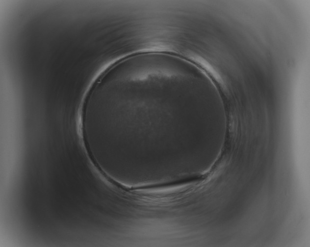 X0000101711468200807171525