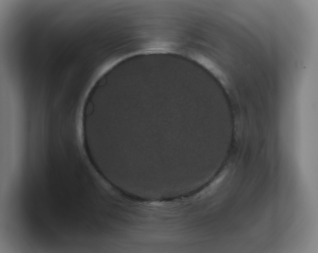 X0000101711469200807171525