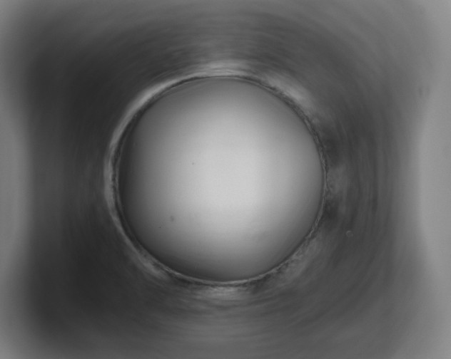 X0000101711470200807171525
