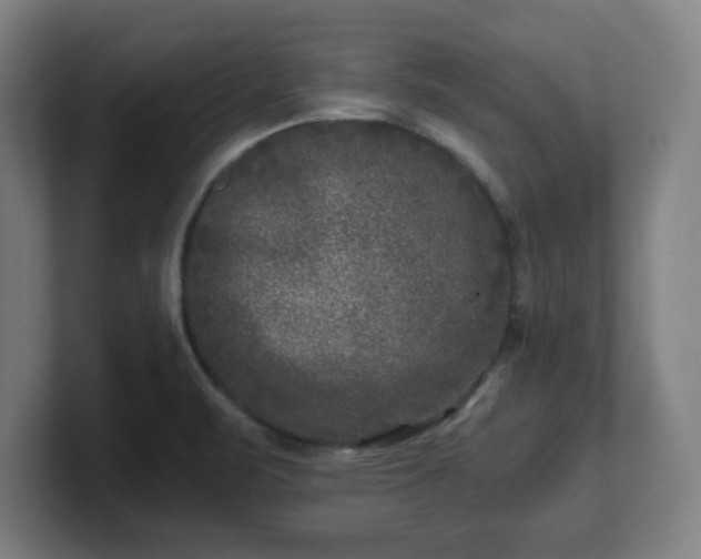 X0000101711471200807171525